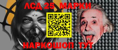 шишки Славгород