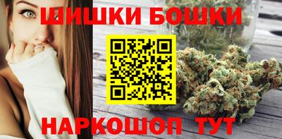 шишки Славгород