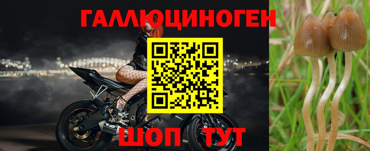 Галлюциногенные грибы ЛСД Острогожск